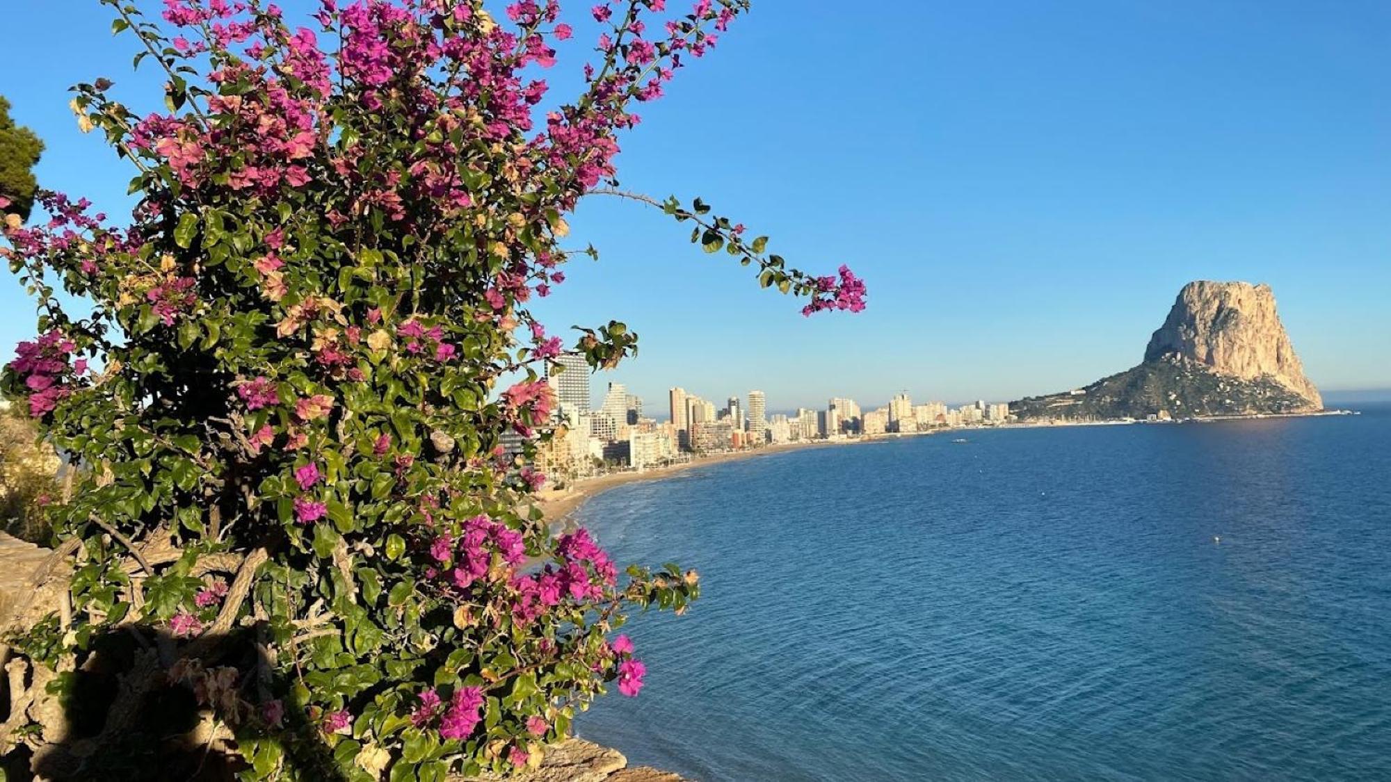 Timora Sea View New Apart' Hipocampos Кальпе Экстерьер фото