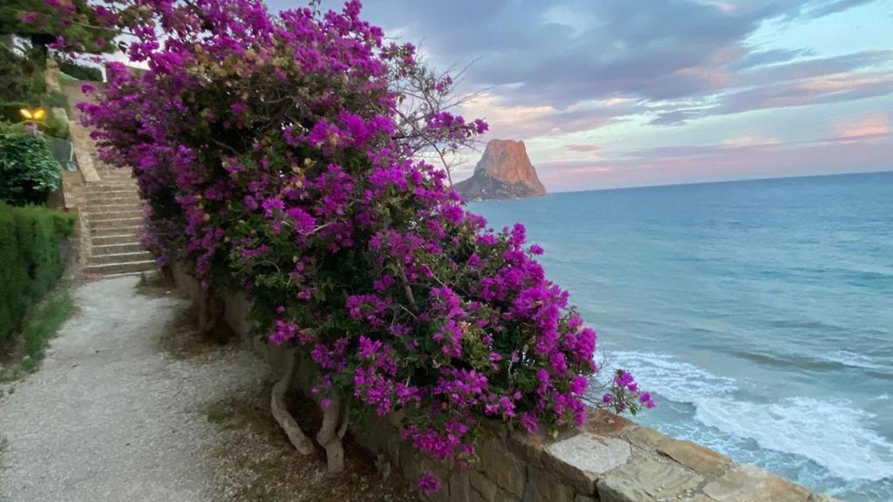Timora Sea View New Apart' Hipocampos Кальпе Экстерьер фото
